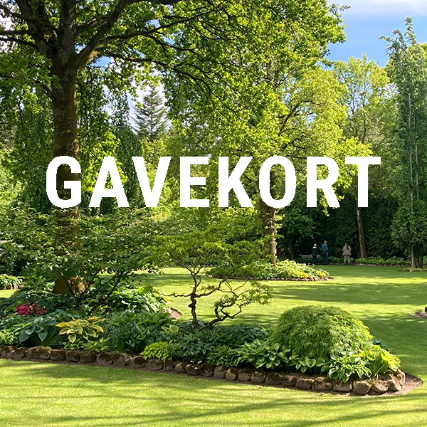 Gavekort