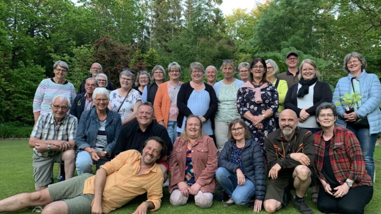 Billede af stole i rækker sat op i haven