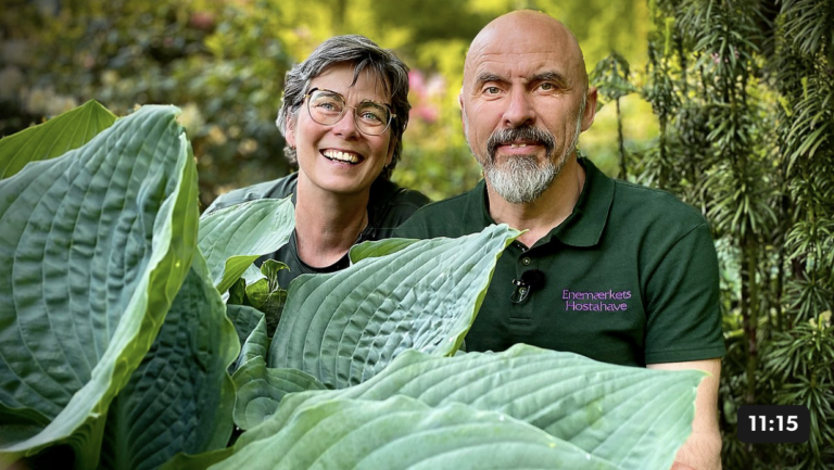 Henning og Helle bag stor hosta