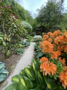 Stihave med orange blomster og træer